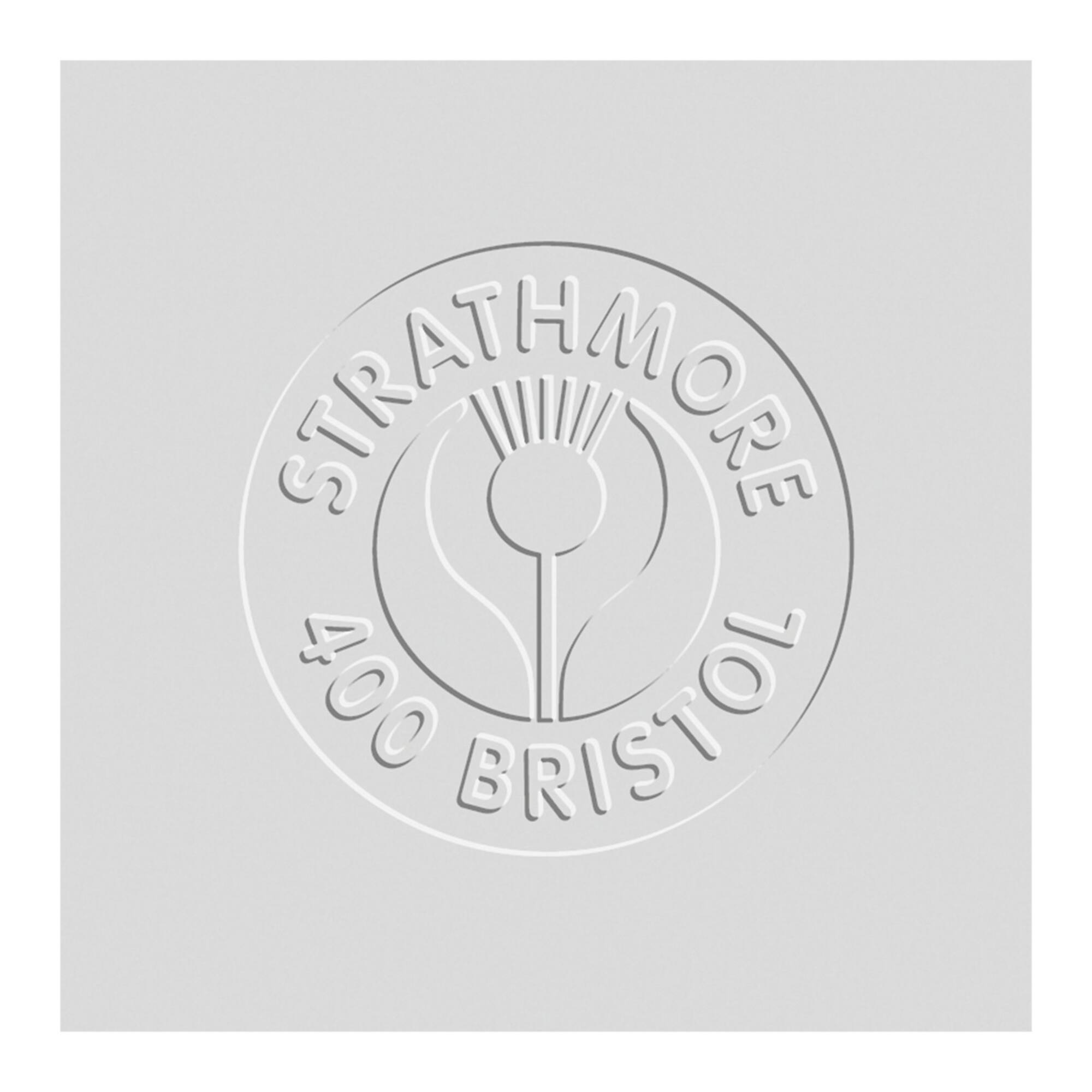 Strathmore® 400 Series Large Bristol Vellum Sheet